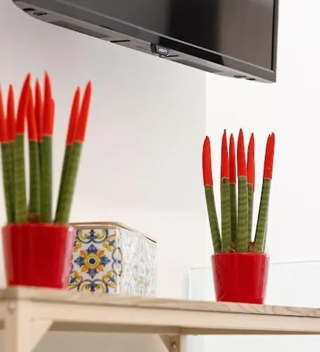 Casa Elemar * 巴列塔